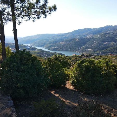 Paraiso Hills - Encostas Do Paraiso: Tranquilidade No Douro Resende Buitenkant foto